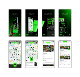 Software Customization